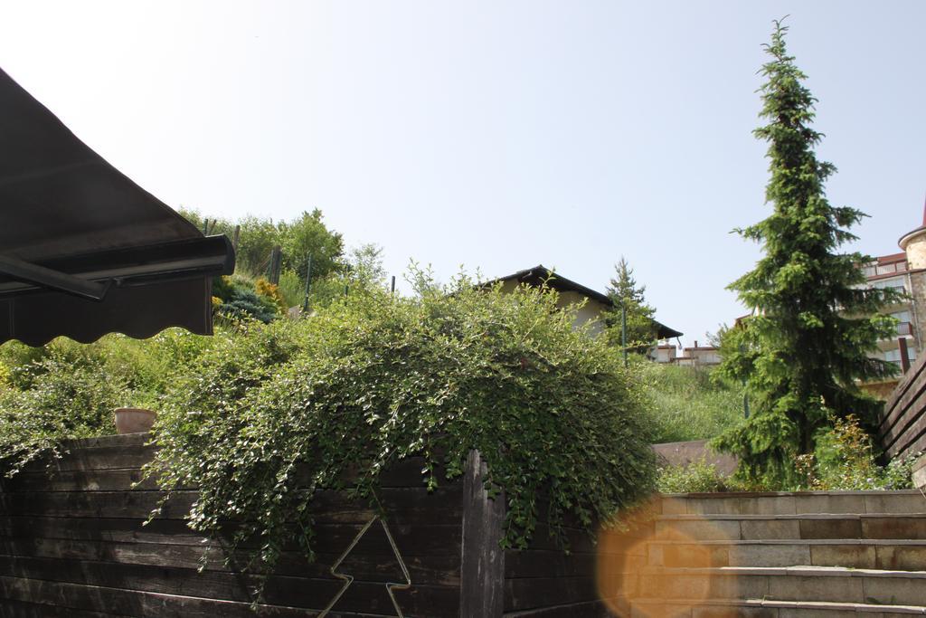The Stone Villa Beli Iskar Exterior photo